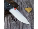 Складной нож Benchmade Mini Freek NKBM194