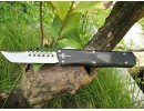 Microtech Combat Troodon D2 NKMT244